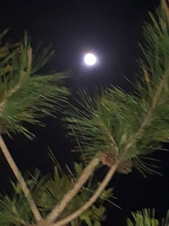 20190420_000350