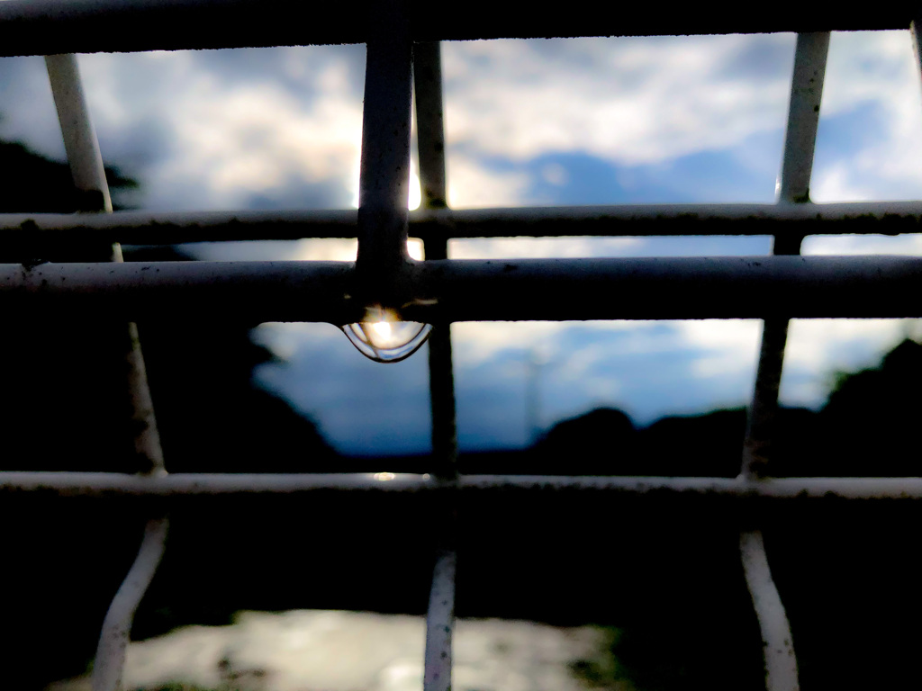 雨上がり
