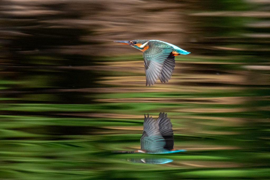 ブルーダイヤモンド。。！