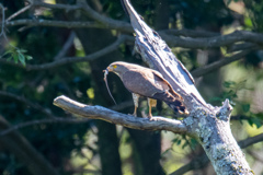 プレゼント..(^O^)