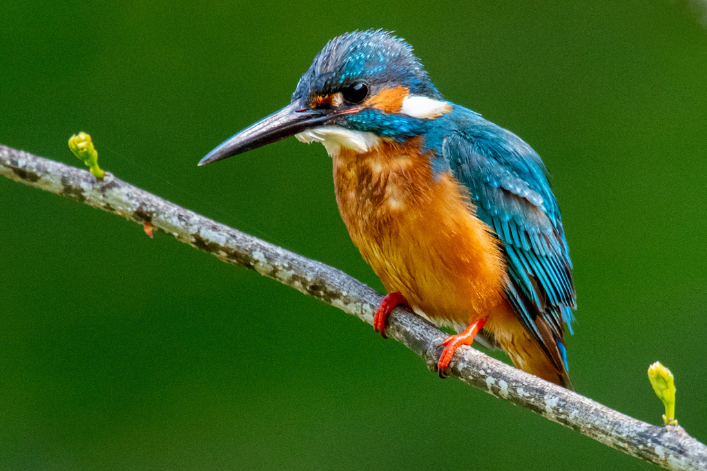 鮮やかに。。！