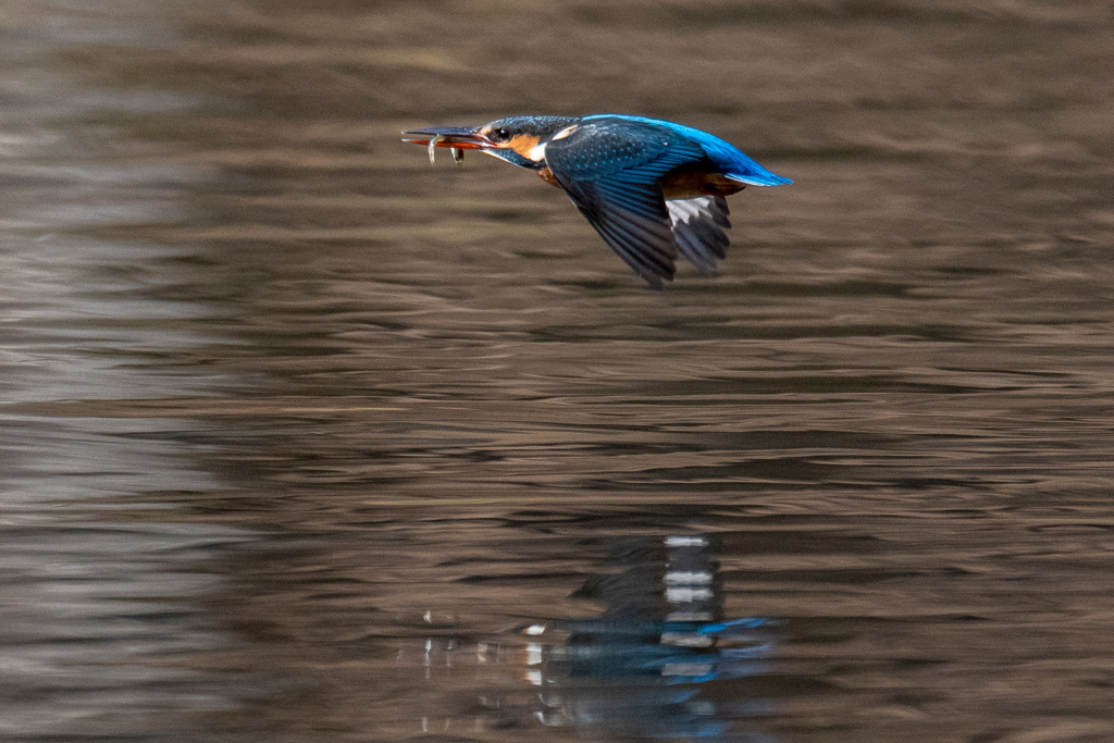 何処までも。。！