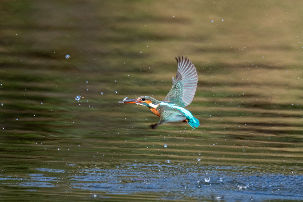 10時のおやつ。。！