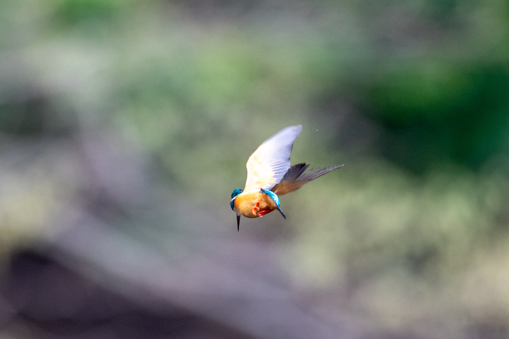 ロックオンかぁ～。。！