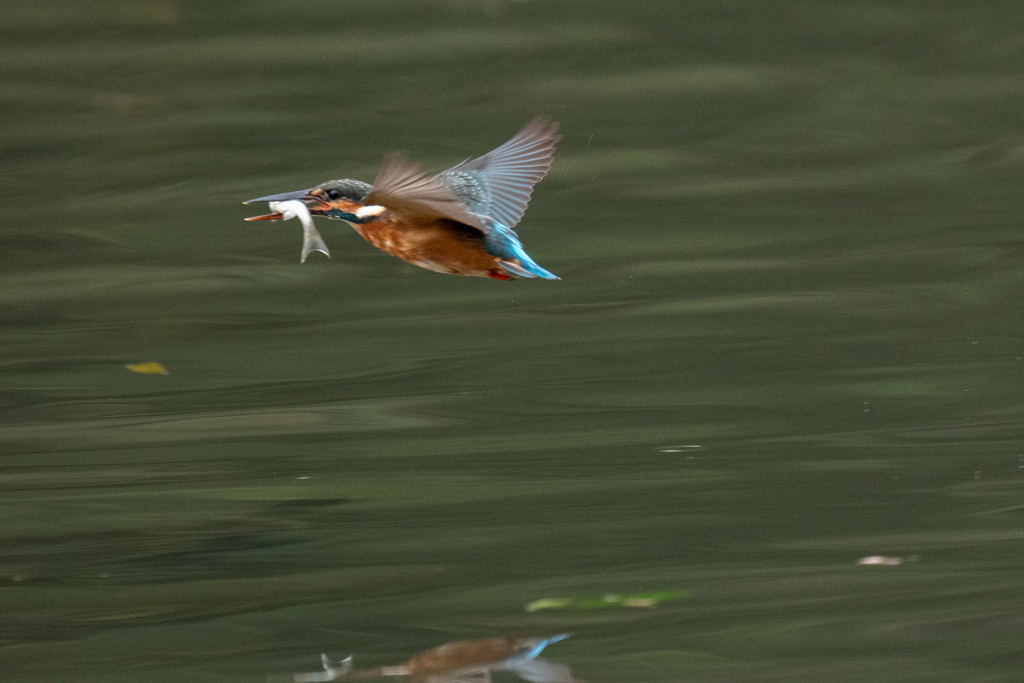 歓びの時。。！