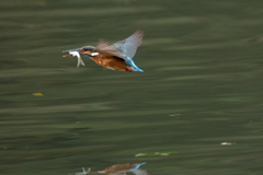 歓びの時。。！