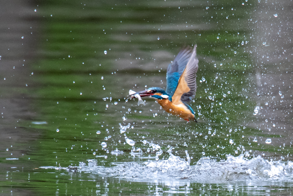 大物ゲット。。！