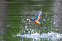 大物ゲット。。！