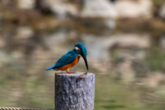 落としたぁ。。！