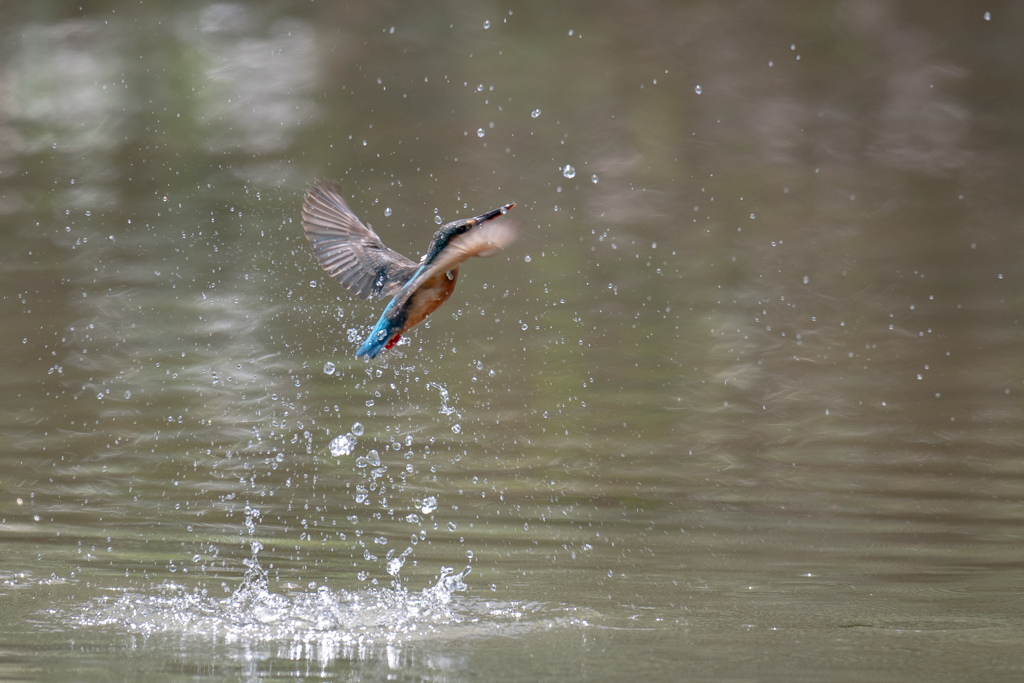 翔けのぼれ。。！