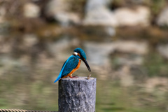 しまった。。！