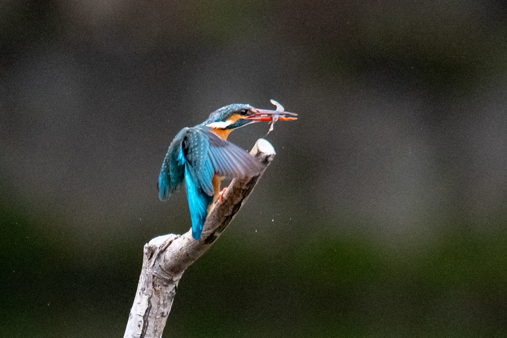 かっぱえびせん..(^O^)