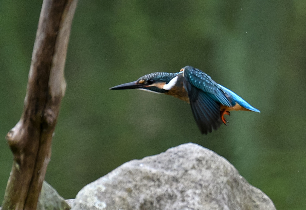 雨上がり。。！