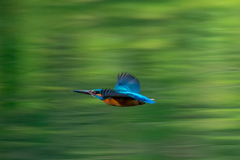 早春の飛翔。。！