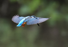 雨上がり。。！