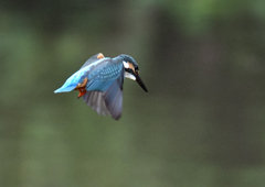 雨上がり。。！