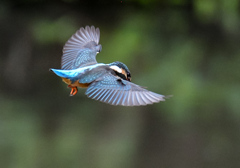 雨上がり。。！