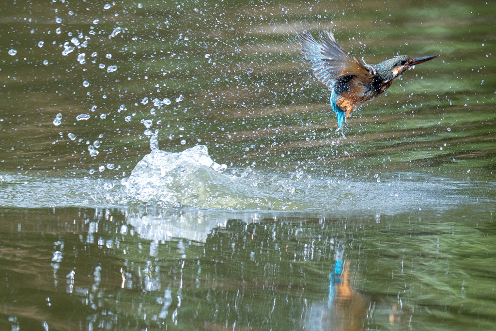 連続ダイブ　1。。！