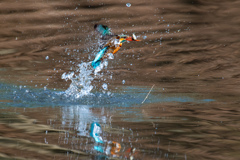 今日の朝食。。！
