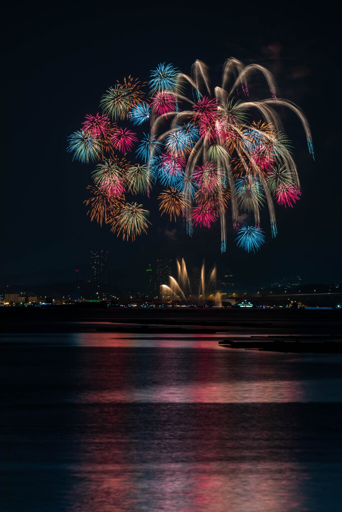 2019初花火