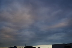 evening 