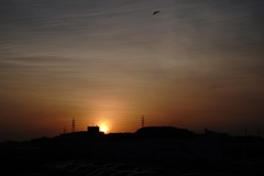 sunrise@yokohama