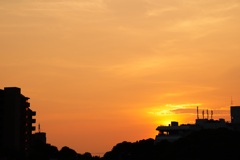 sunset