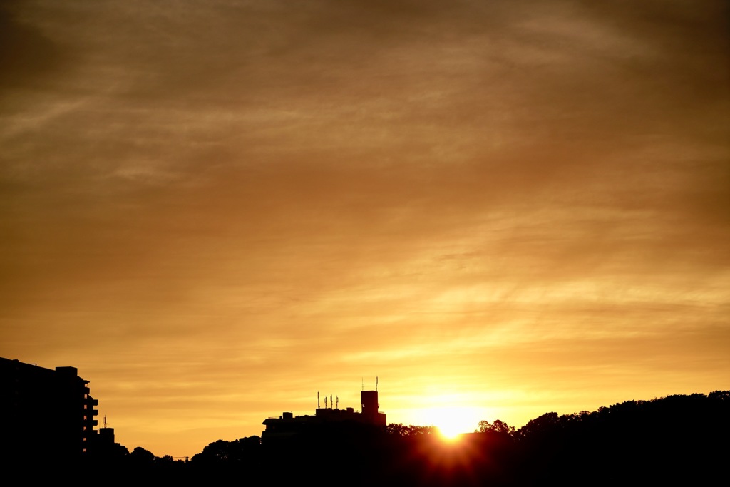 sunset