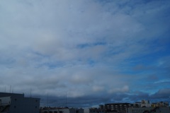 the blue sky