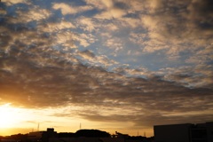 sunrise