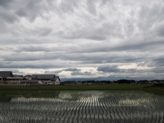 Landscape @Iwate