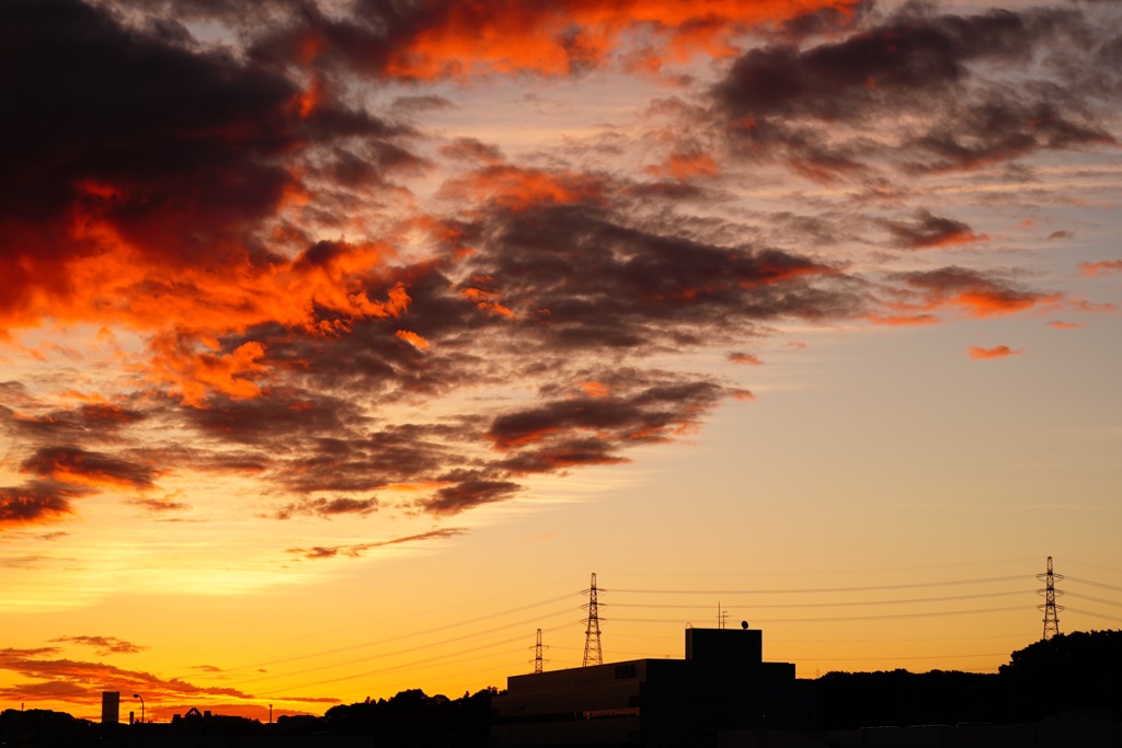 sunrise