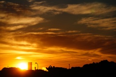 sunrise