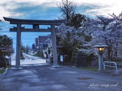 神社と桜