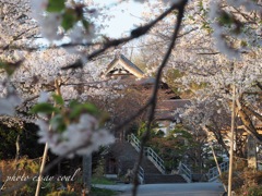 自分の情景