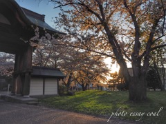 お寺の朝