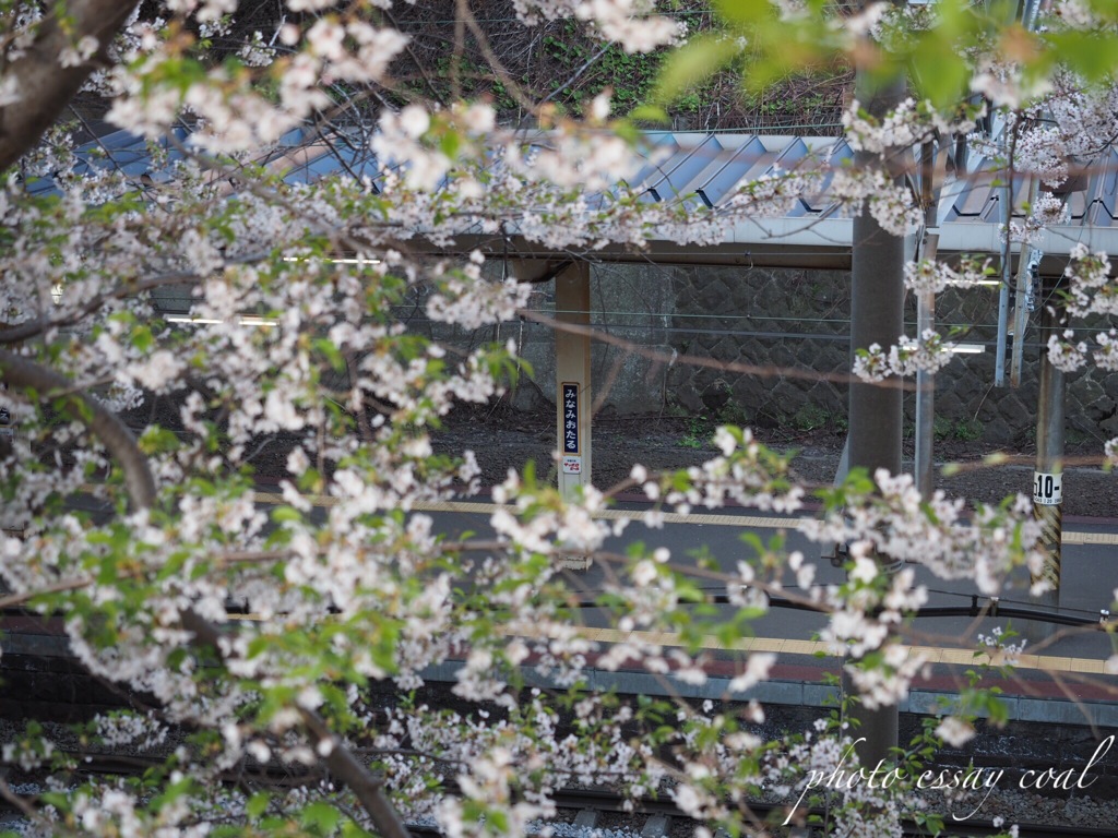 旅立ちの朝