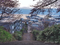外人坂