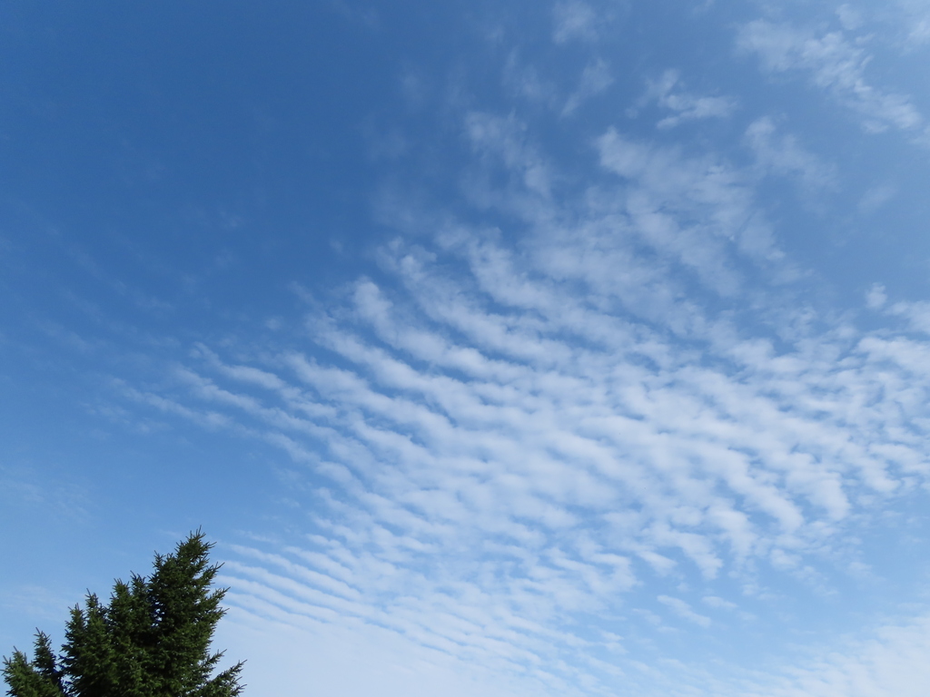 今日の空。