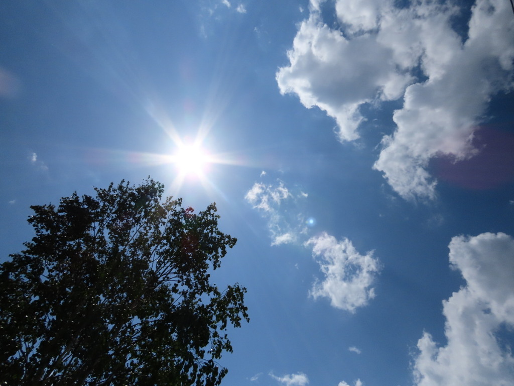 イマソラ、撮って出し