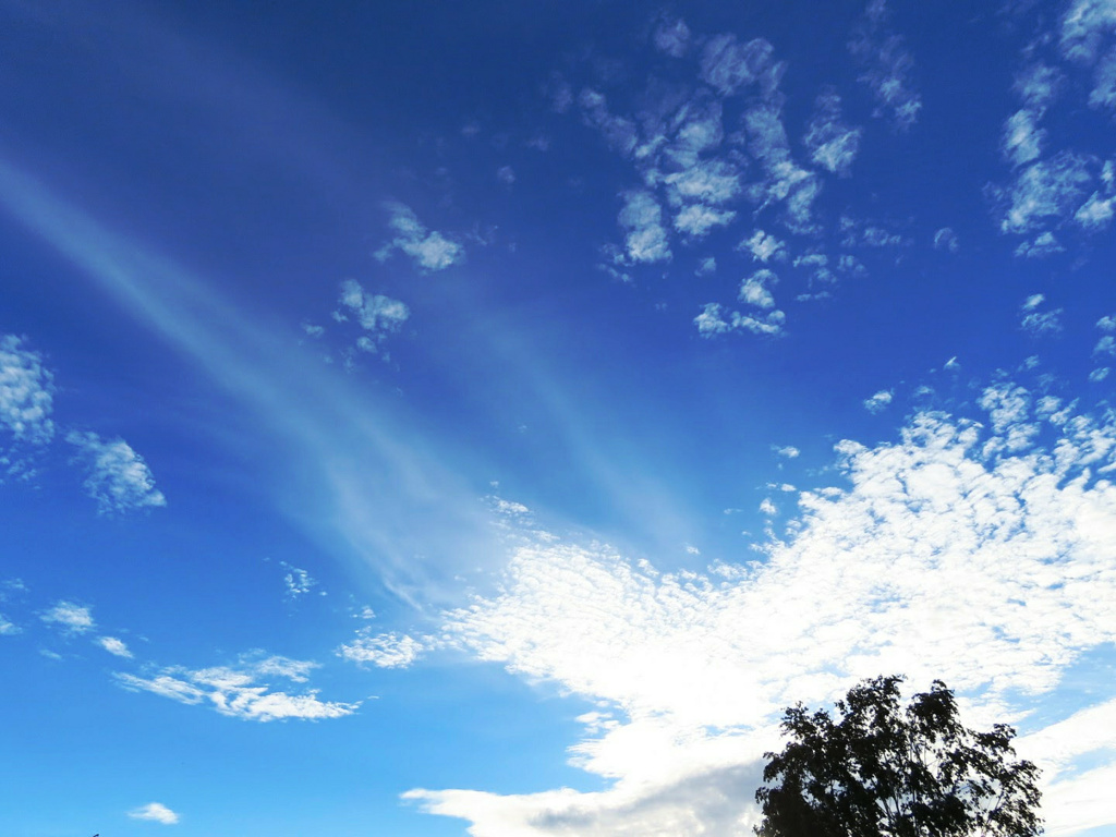 今日の空。