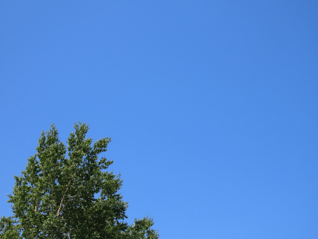 雲ひとつなく！今日の空