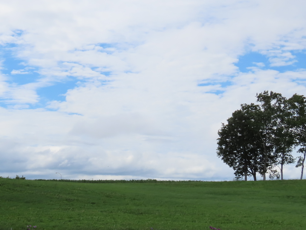 青空は気まぐれに。