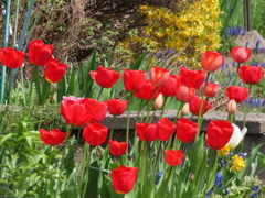 河川敷手前にて