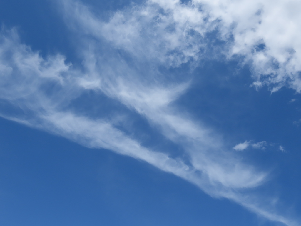 昨日の雲