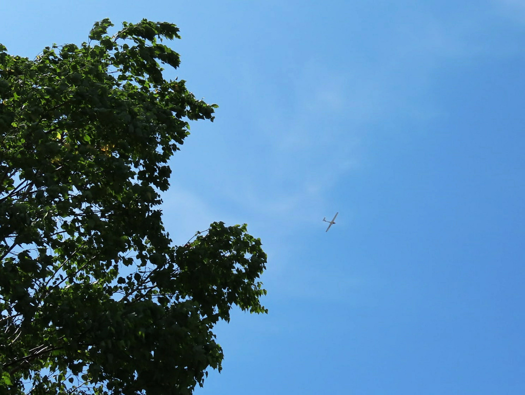 夏空に飛行機。