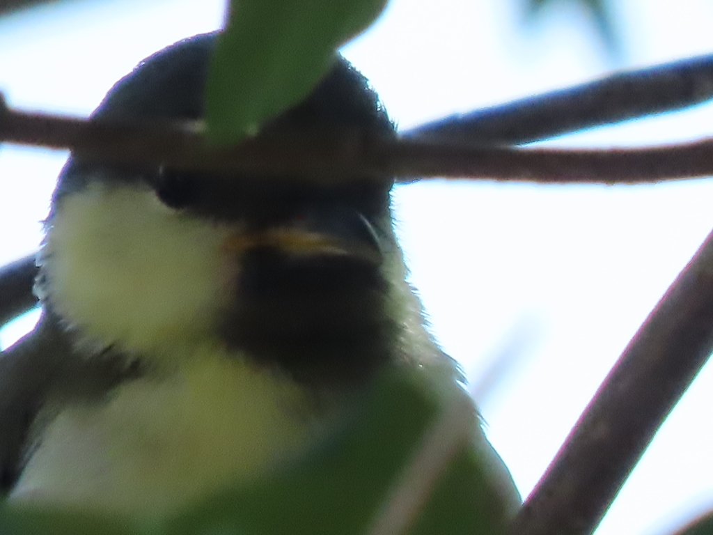 見つかっちゃったかも。
