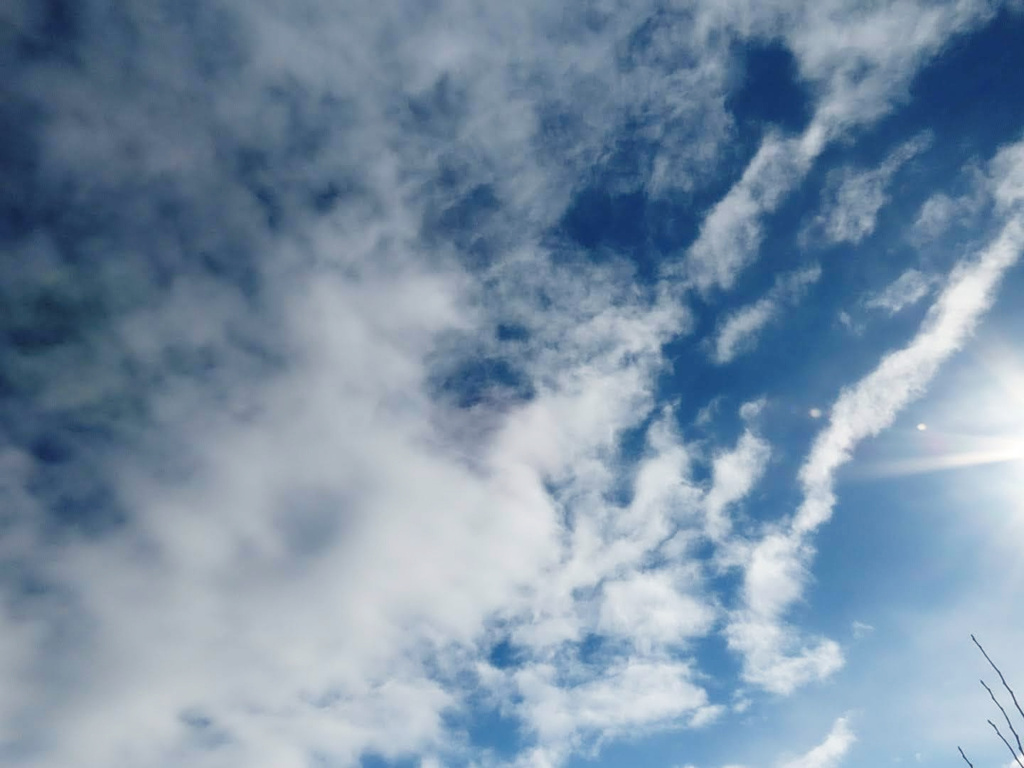 大雪は何だったんだ？