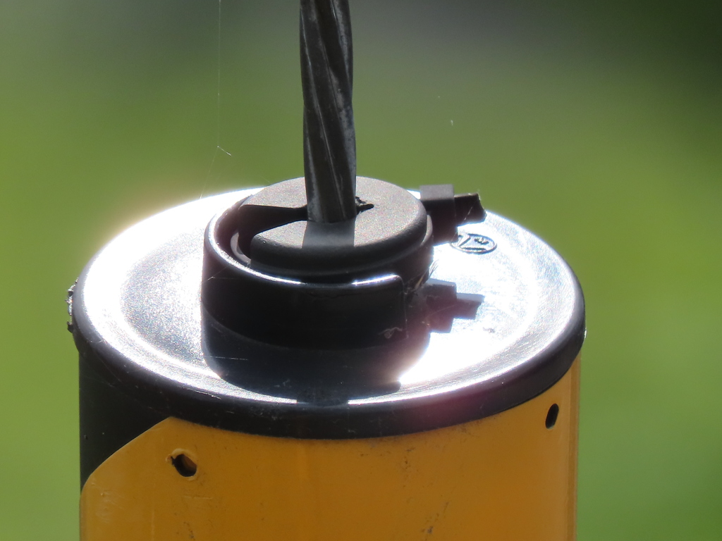 これ、なーんだ？！