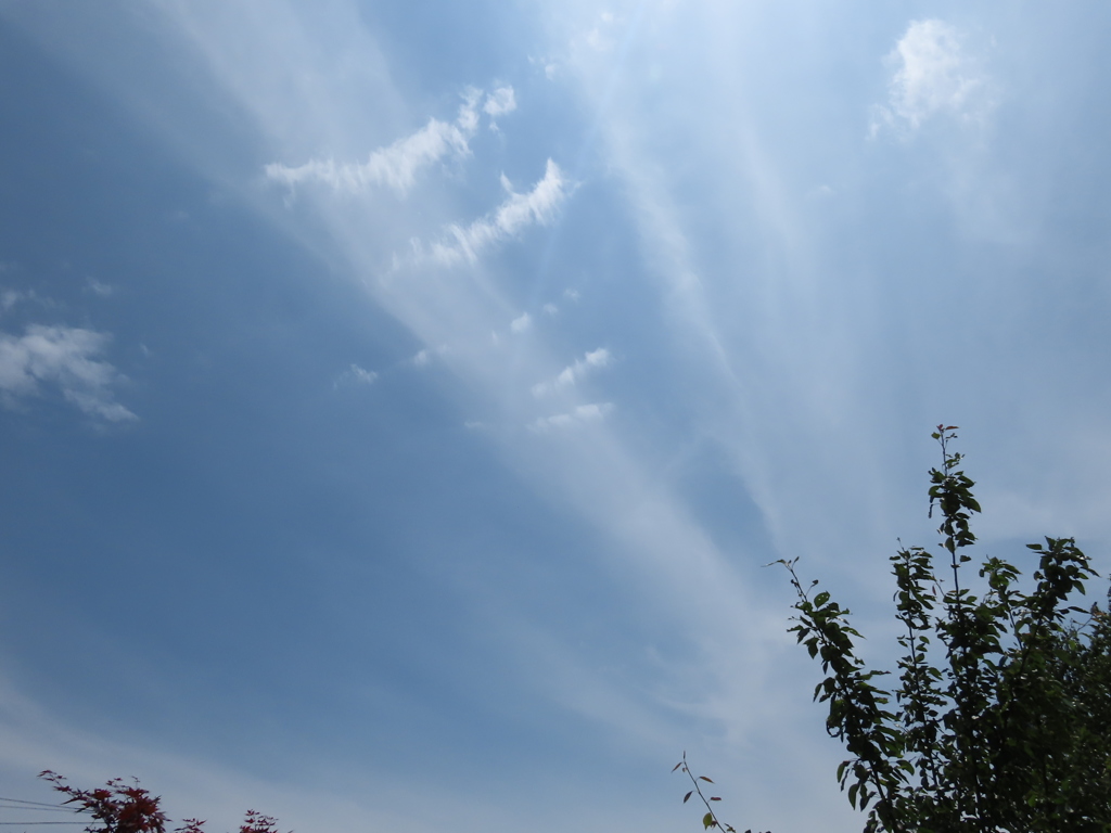 今日の空